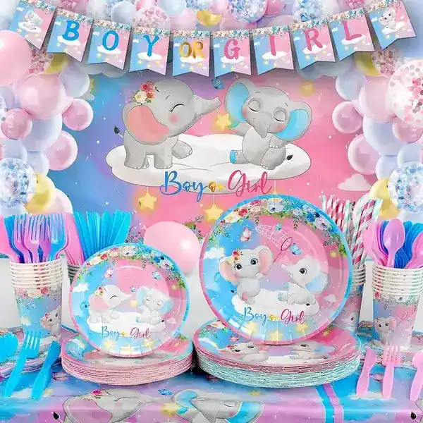 Exciting Gender Reveal Baby Shower Decorations