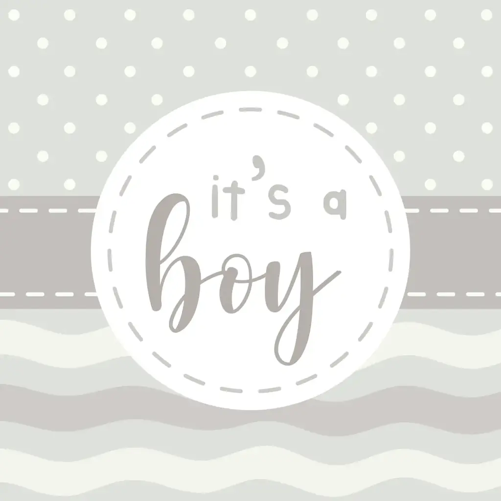 Baby shower invitation with warm message introducing a handsome baby boy with cozy neutral colors